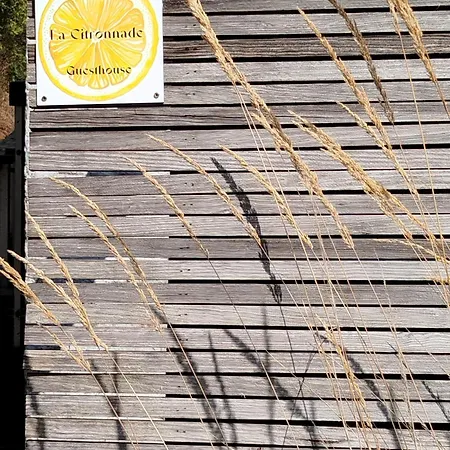 La Citronnade *
